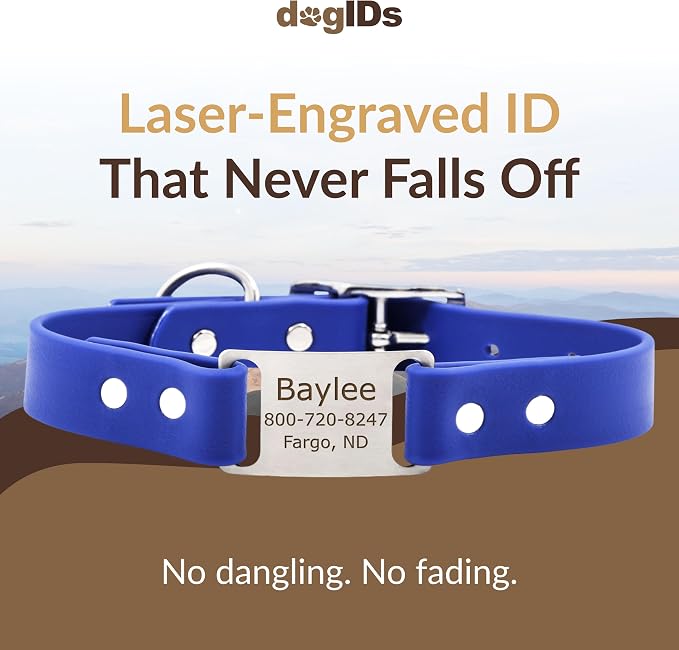 dogIDs Personalized Dog Collar – ScruffTag Custom Waterproof Biothane Dog Collar with Laser-Engraved Name, Durable & Odor-Resistant – USA Made | Blue, 1 in x 16 in (Fits Neck Sizes 14-18 in)