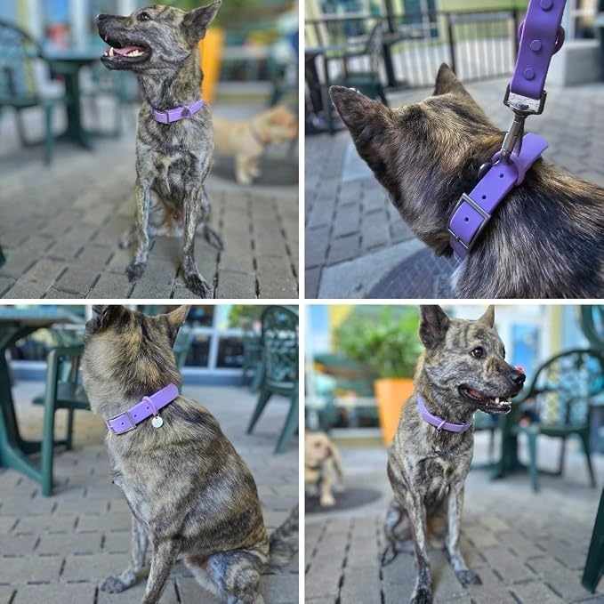 Waterproof Dog Collar, Soft Comfortable Pet Collars, Adjustable Odor Proof Heavy Duty Dog Collars Easy to Clean for Large, Medium Small Dogs by Bee N Buu (Purple, Large (length15.5-19.5", Width 1"))