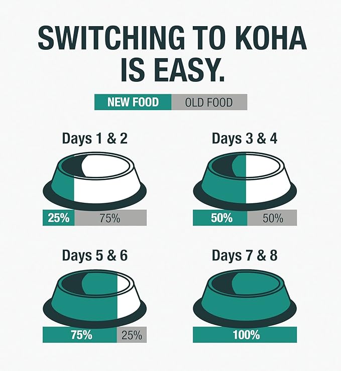 KOHA Limited Ingredient Diet Salmon Entrée for Dogs - Dog Food Toppers for Picky Eaters - Sensitive Stomach Canned Dog Food - Pate Dog - 13 oz Pack of 12