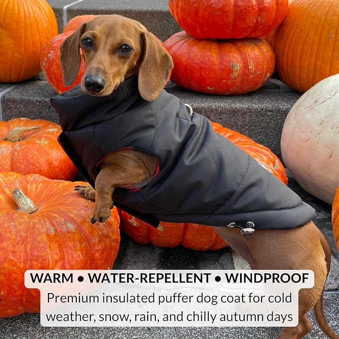 DJANGO Reversible Puffer Dog Coat – Warm Winter Dog Jacket & Water-Repellent Insulated Dog Coat with Harness Hole, Windproof, Adjustable Fit Vest for Small & Medium Dogs, Dachshunds – Black, Medium