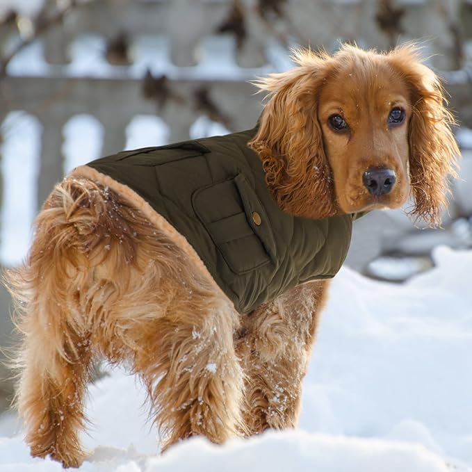 Queenmore Warm Coat for Cold Weather, Quilting Winter Jacket With Ultra Thick Plush Lining and Storage Pockets (Green, Medium)