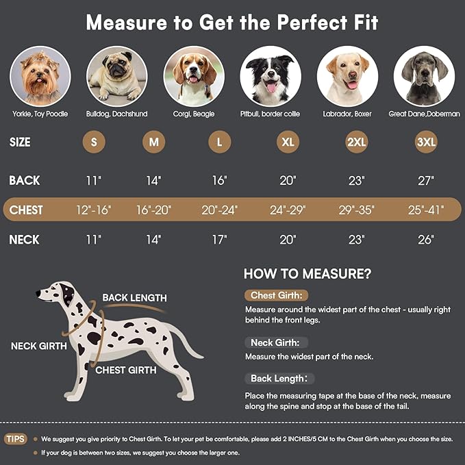 Queenmore Winter Dog Coat Warm Dog Jacket Vest Waterproof Puffer Fleece Snowsuit Adjustable Buckle Leash Hole Reflective Cold Weather Parka for Small Medium Large Dogs Girl Boy Black XXL