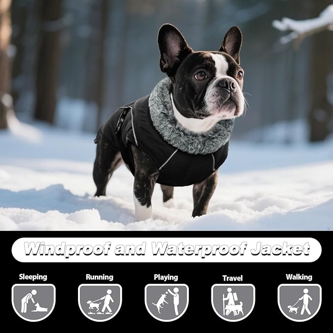 DENTRUN Winter Warm Dog Coat Reflective Jacket with Turtleneck for Cold Weather, Adjustable Buckle Windproof Water Repellent, Thick Snowsuit Fleece Vest for Small, Medium, Large Dogs, Black, M