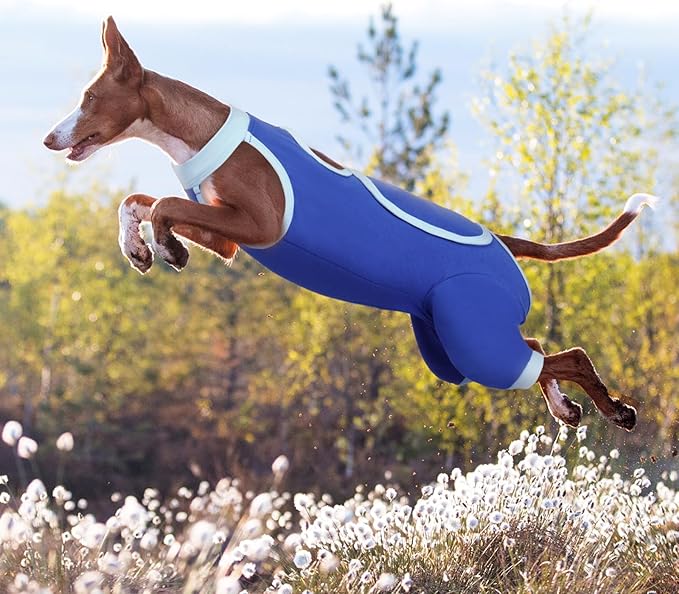 ROZKITCH Dog Surgery Leg Sleeve Rear Legs, Male Female Pet Prevent Licking Wound Elbow Knee Protector, Dog Recovery Suit Cone Collar Alternative Pants Shirt for Wound Heal Wrap Blue 3XL