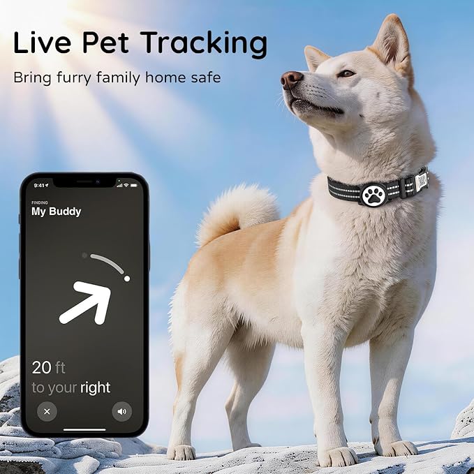 Waterproof AirTag Dog Collar with QR Code Dog Tag, Black02 M | IP68 waterproof, QR code dog tag, Anti-Lost, Online profile, fits XS-L (8"-26"), Padded nylon, Reflective, No App, No Fees