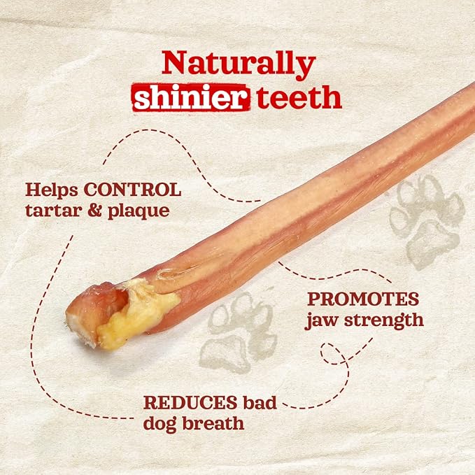 Natural Farm Odor-Free Thin Bully Sticks (12”, 12-Pack) All-Natural Long-Lasting Dog Chews, 100% Beef Pizzle, Grass-Fed, Grain-Free, Protein for Muscle Development & Energy, Perfect for Large Dogs