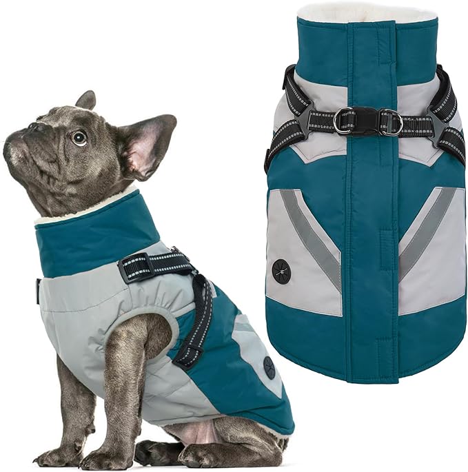 IECOii Dog Winter Coat Waterproof - Dog Coat with Harness Built in for Medium Dogs,Thermal Warm Fleece Lined with Zip Up Cold Weather Jacket,Reflective Snowsuit for Outdoor, Turquoise Green,M
