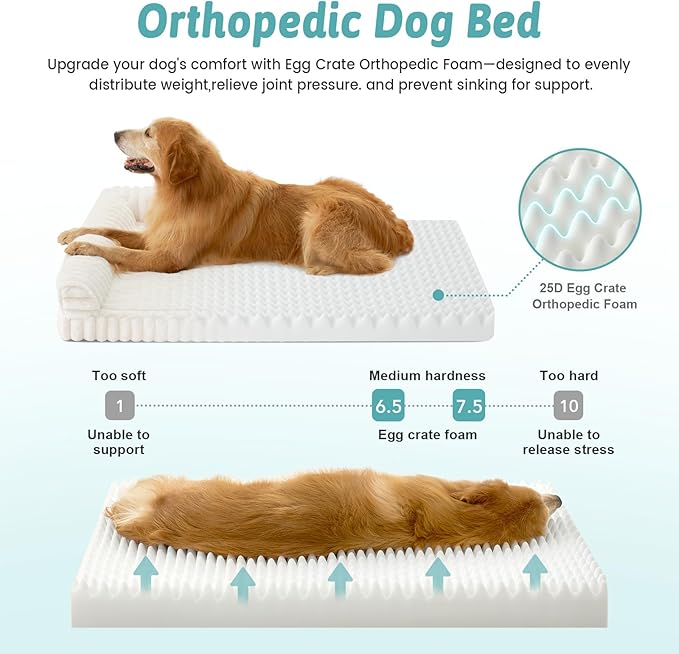COZY KISS Cute Dog Bed for Small Dogs, Faux Rabbit Fur Orthopedic Foam Dog Bed with Sides, Removable Washable Cover & Waterproof Lining, Comfortable Pet Couch, Cream (30" L x 20" W x 6" Th)