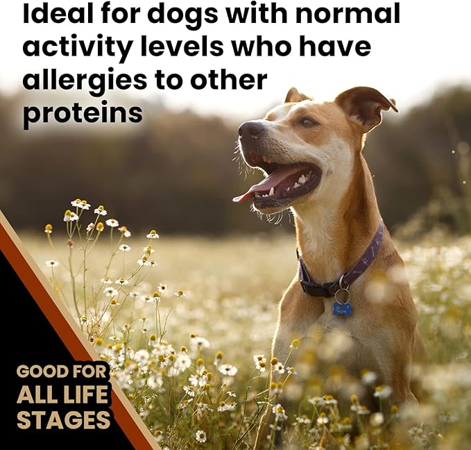 VICTOR Super Premium Dog Food – Chicken Meal & Brown Rice for All Normally Active Dogs of All Life Stages – Gluten-Free, Digestive & Immune Support, Ideal for Dogs with Meat Protein Allergies, 5 lb