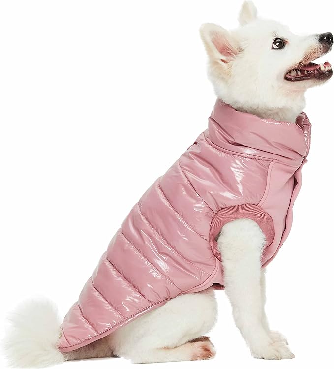 Blueberry Pet Cozy Mauve Pink Puffer Jacket – Windproof Quilted Winter Coat for Small Dogs, Size 10 (12.5" Back Length), Warm Outdoor Accessories