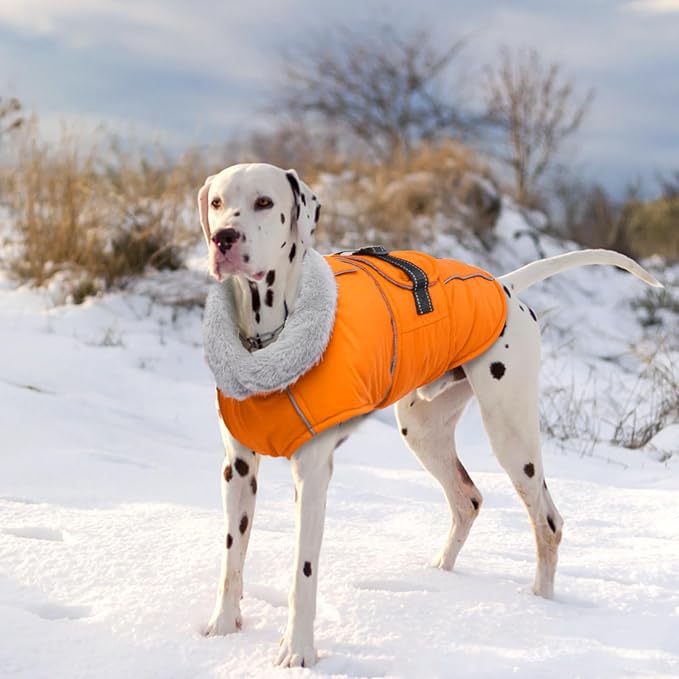 Lelepet Dog Coat Waterproof Dog Jacket Reflective Fleece Vest with Adjustable Buckle & Leash Hole Windproof Cold Weather Coats for Small Medium Large Dogs, Warm Hunting Vest, Orange, XXXL
