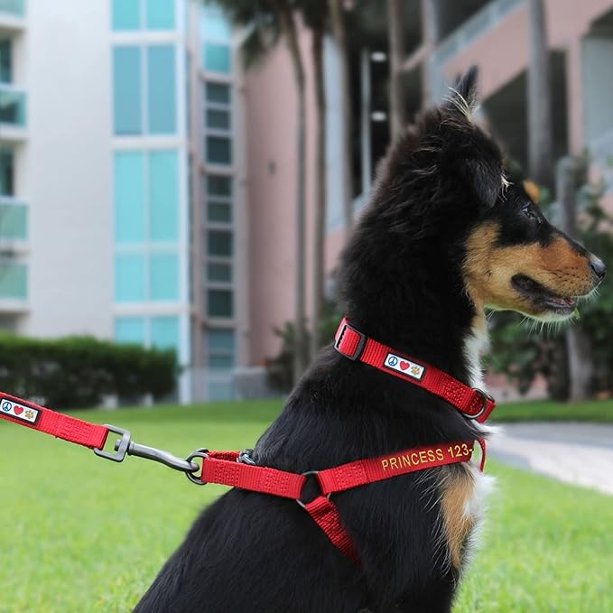 Pawtitas Personalized Dog & Puppy Harness Large Orange Custom ID Tag Adjustable No Pull Vest