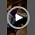 Shield Tag - Natural Flea & Tick Repellent Collar Tag for Dogs & Cats - Waterproof, Lasts 12 Months - Stainless Steel Pendant - Small Tag (<10 Lbs)