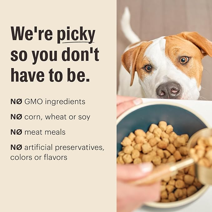 The Honest Kitchen Human Grade Whole Food Clusters Dog Grain Free Beef 10 lb Bag