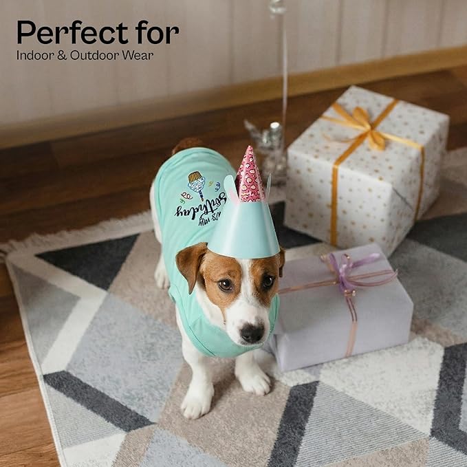 Parisian Pet Dog T-Shirt with Embroidered 'It's My Birthday' Words - Sleeveless Dog Birthday Shirt - Lightweight Pet Vest - Blue Tee Shirts for Small Dogs - XXS