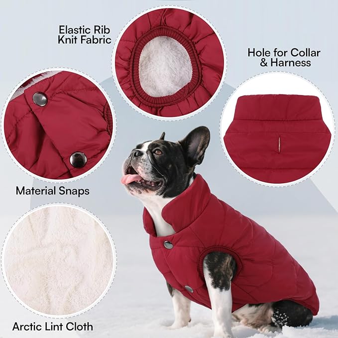 ASENKU Dog Winter Coat - Waterproof Windproof Dog Jacket, Warm Snowproof Doggie Puffer Vest for Cold Weather, Lightweight Snow Coats for Small Medium Large Dogs(M, Red)