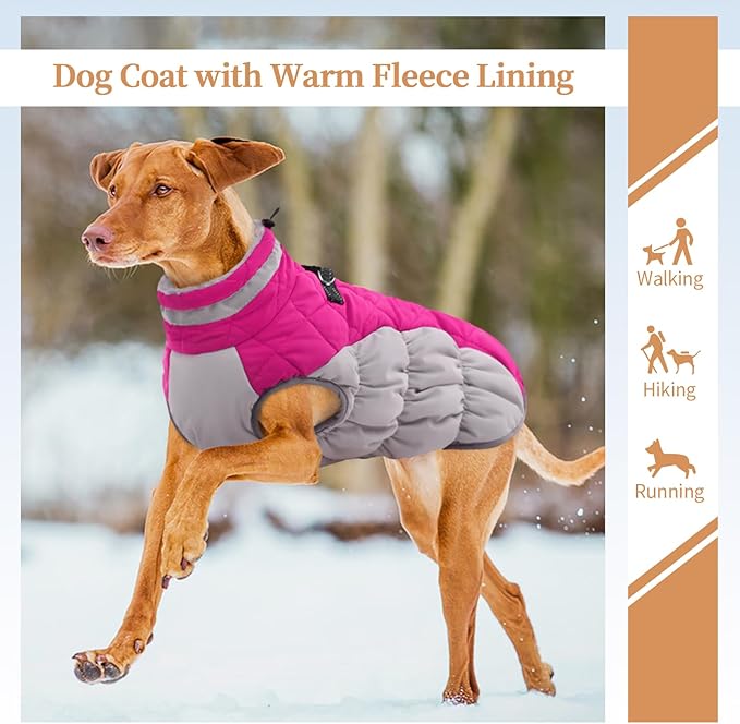 Winter Dog Coat,Large Dog Jacket,Waterproof Pet Jacket with Back Zipper,Pet Coat with Harness Built in,Warm Dogs Coat with Fleece Lined,Snow Jacket Clothes French Bulldog Shiba Inu,Rose Red,L