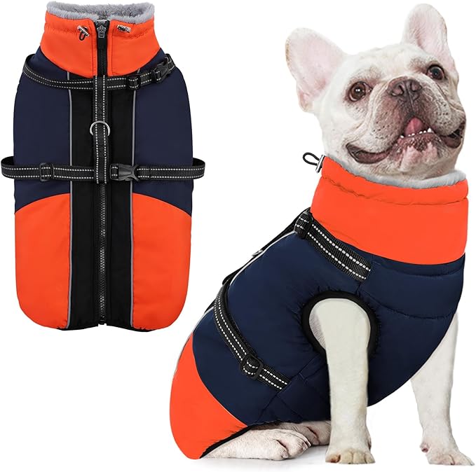 AOFITEE Dog Coat for Small Dogs, Warm Dog Winter Jacket with Harness Built in, Waterproof Small Winter Coat Dogs Reflective Cold Weather Coats for Chihuahua, Yorkshire, Blue XS