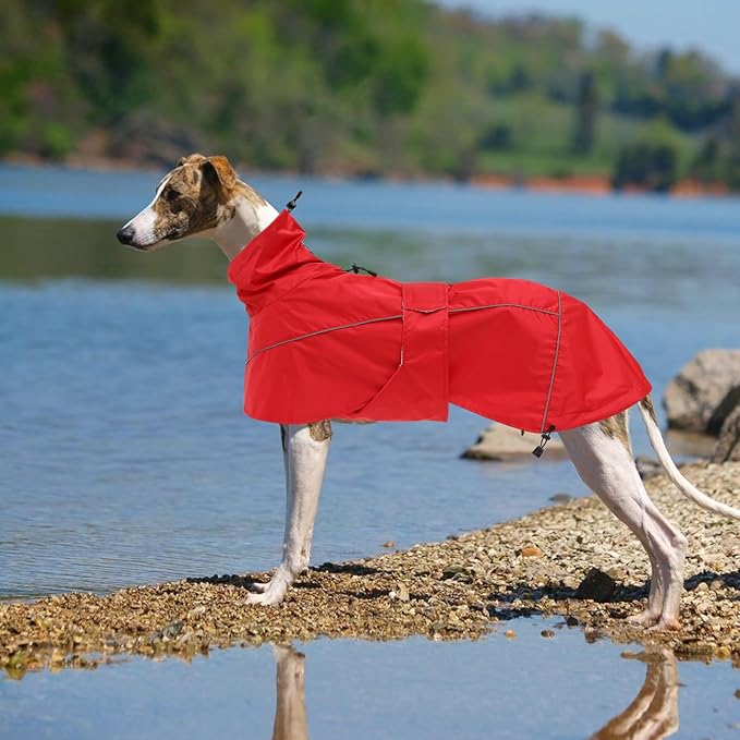 Greyhound Lurcher Raincoat, Whippet Rain Gear with Reflective Bar, Rain/Waterproof, Adjustable Bands and Drawstring in Autumn and Winter - Red - XXXL