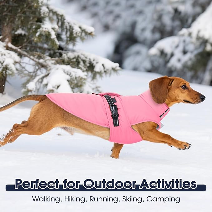 IECOii Large Dog Coat Reflective Snow Jackets Adjustable & Windproof Cold Weather Coats with Quick Snap Buckles Warm Vest for Beagle, Fleece Lined Waterproof Dog Jacket for Hiking, Orange, Size L