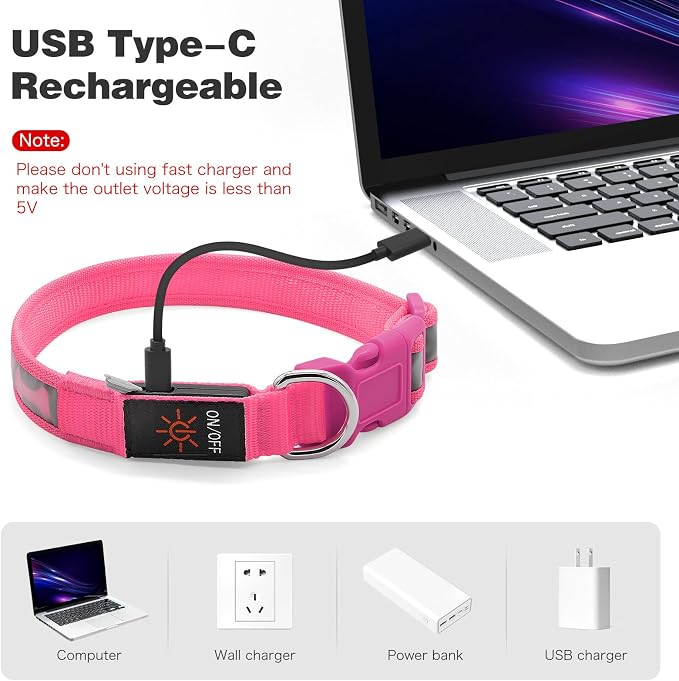 Flashseen LED Dog Collar Light Up USB-C Rechargeable(Pink, Medium)