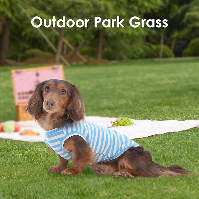 3 Pack Blue Striped Dog T-Shirts for Small Dogs,XS Lightweight Sleeveless Shirt Set for Summer Beach Sun Protection,Soft Machine Washable,Simple Solid Color,Chihuahua(Blue,XS)