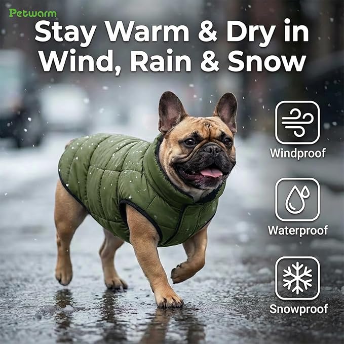 PetWarm Reversible Dog Winter Coat, Windproof Dog Puffer Vest, Soft Vest for Dogs with Hook-and-Loop Strap for Easy Dressing, Waterproof Coat for Dogs with Adjustable Fit, Green, M