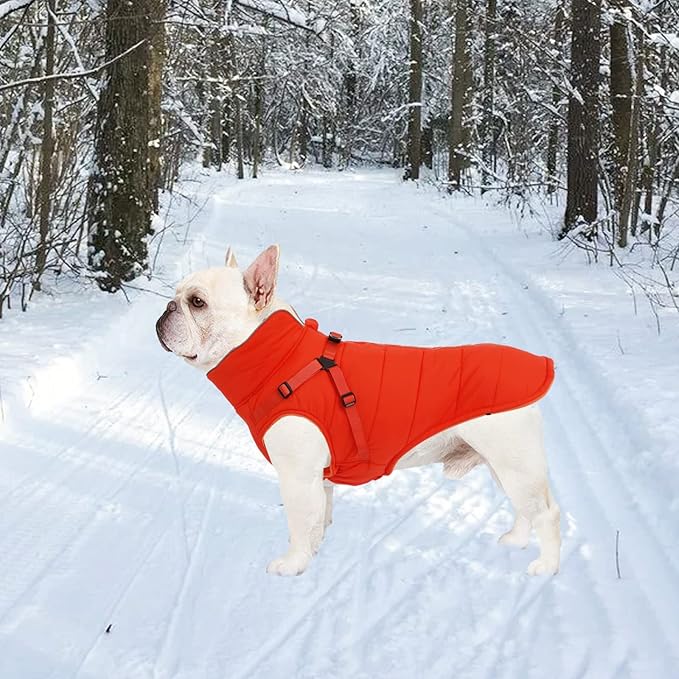 Geyecete Winter Warm Coat Waterproof Dog Winter Jacket with Harness Traction Belt,Windproof Pet Outdoor Jacket Dog Autumn-Orange-L