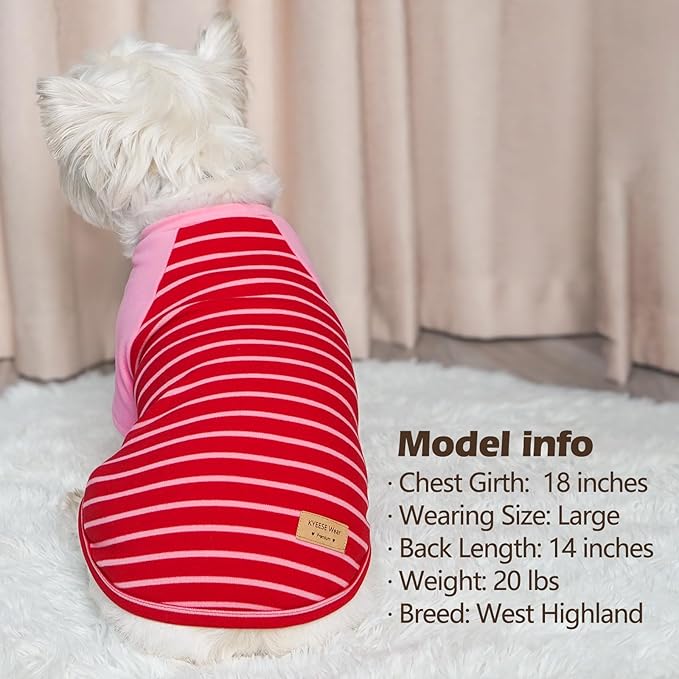 KYEESE 2Pack Dog Sweater, Soft Puppy Sweatshirt Stretchy Pullover Dog Sweater for Small Dogs Girl Boy, Lightweight Fleece Cat Shirt Pet Clothes with Sleeves, M