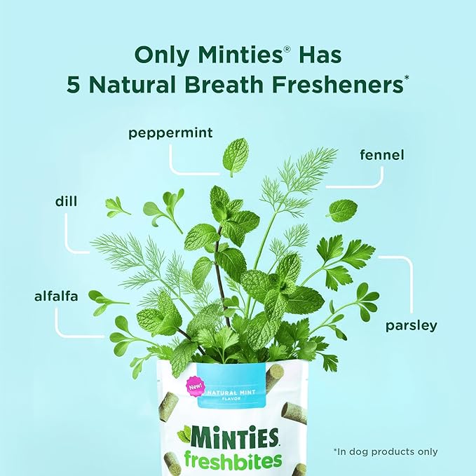 Minties FreshBites Soft and Chewy Dental Treats for Dogs, Low Calorie Natural Mint Flavored Dental Chews for Dogs, 50 Count, Chews Clean Teeth, Fight Bad Breath, and Removes Plaque and Tartar