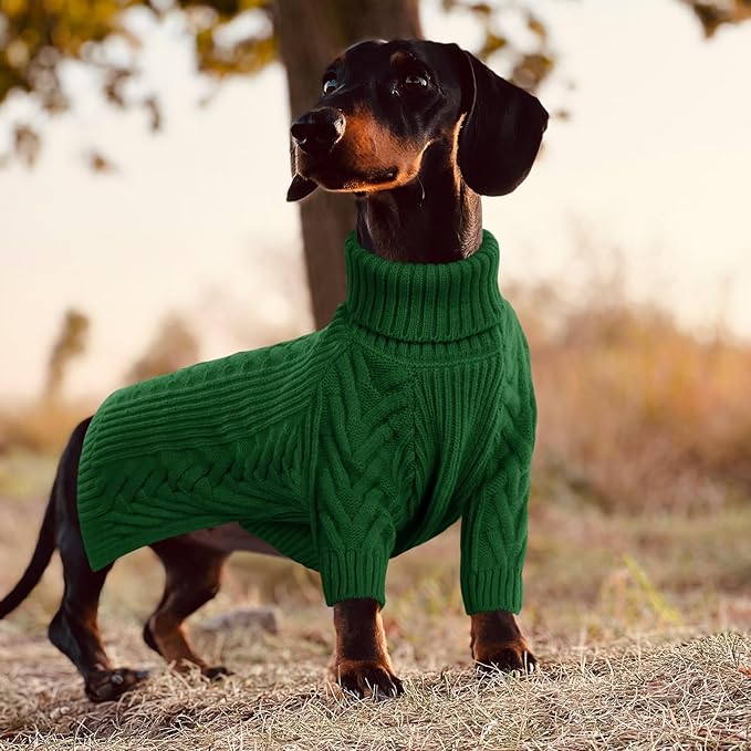 ASENKU XXL Dog Sweater, Turtleneck Pullover Winter Outfits for Extra Large Dogs - Pet Sweatshirt for Pitbull, Labrador Retriever (Dark Green, 2XL)