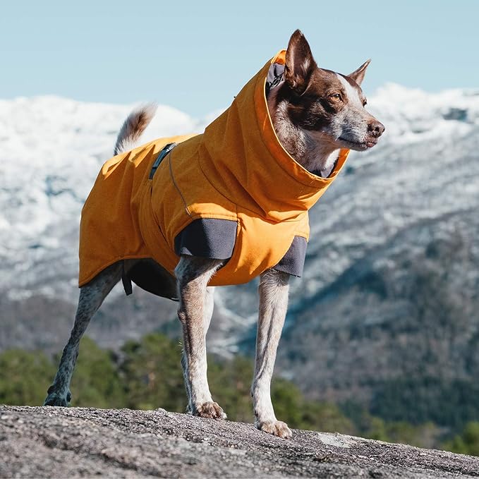 Hurtta Expedition Parka, Winter Dog Coat, Buckthorn, 28 in