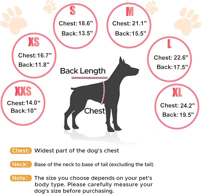 Dog Winter Coat with Hood, Fleece Lined Waterproof Dog Jacket,Warm Snowsuit for Small Medium Dog