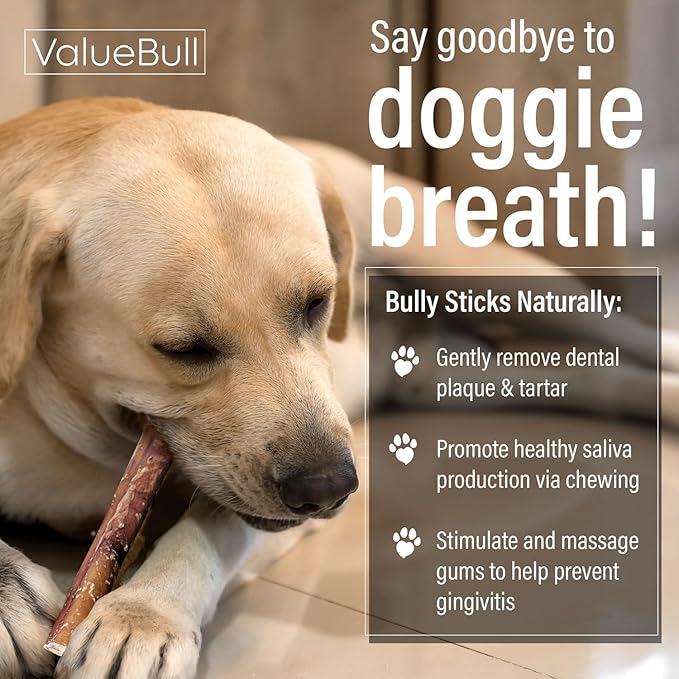ValueBull Bully Sticks for Dogs, Medium 6 Inch, 100 Count Bulk Pack - All Natural, Grass Fed, Single Ingredient, Long Lasting Dog Treats