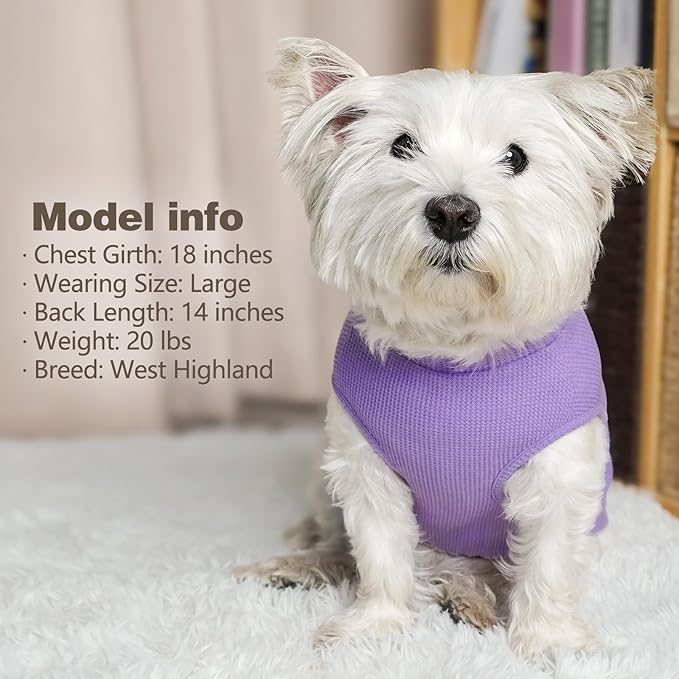 KYEESE 2Pack Dog Shirts Waffle for Small Dogs, Stretchy T-Shirts, Lightweight Tank Top, Sleeveless Vest, Breathable, Large, Purple + Grey