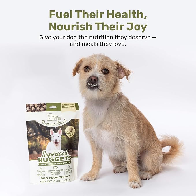 BADLANDS RANCH Superfood Nuggets – Freeze-Dried Raw Dog Treat & Food Topper, Nutrient-Dense Beef Tripe & Kale Formula, High Protein, No Artificial Additives, 8oz Bag