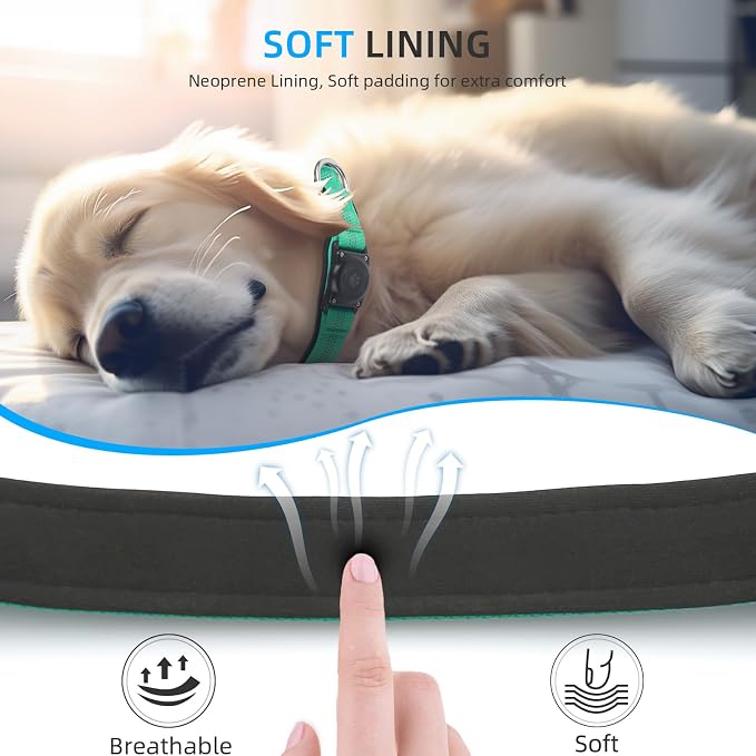 Upgrade Dog Collar with AirTag Holder, IP68 Waterproof, Teal, S | Built-in Water Resistant AirTag holder, 1000D Nylon, Reflective Stitching for Night Visibility, Soft padding for Comfort
