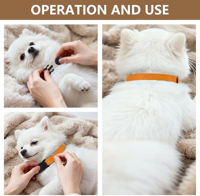 Sunset Gradient Adjustable Buckle Small Dog Collar 2 Pack Lightweight Pet Collar for Cats and Dogs