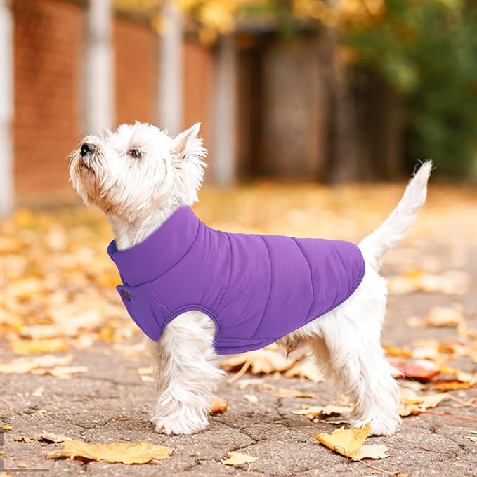ASENKU Dog Winter Coat - Waterproof Windproof Dog Jacket, Warm Snowproof Doggie Puffer Vest for Cold Weather, Lightweight Snow Coats for Small Medium Large Dogs(Purple, XS)