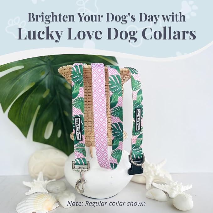Lucky Love Dog Martingale Collar & Leash Set No Slip Cute – Laguna, Large