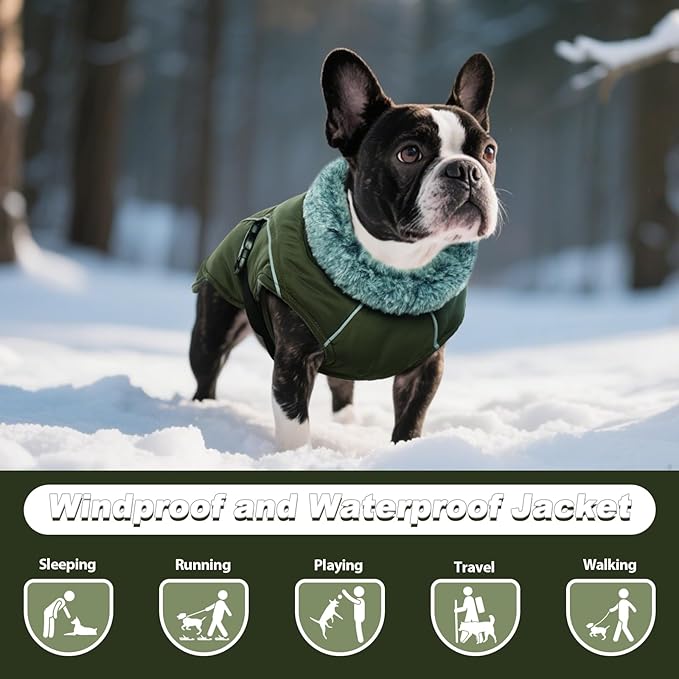 DENTRUN Winter Warm Dog Coat Reflective Jacket with Turtleneck for Cold Weather, Adjustable Buckle Windproof Water Repellent, Thick Snowsuit Fleece Vest for Small, Medium, Large Dogs, Green, XL