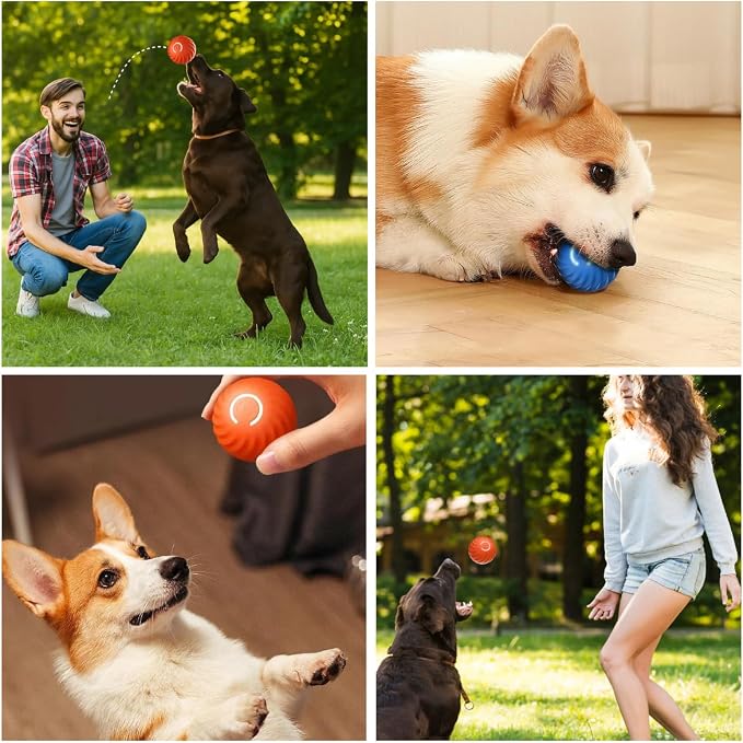 Smart Jumping Ball for Dogs,Automatic Moving Dog Toy,Pet Ball,Blue,All Breed Sizes,Adult Dogs