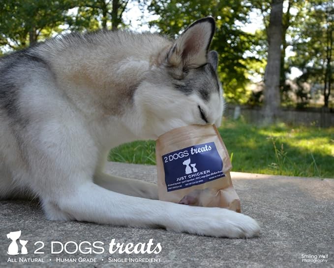 Just Chicken Jerky | 100% USA-Sourced, Single-Ingredient, Great for Sensitive Stomachs, Human-Grade USDA Chicken, Grain-Free, Allergy-Friendly, High Value for Training, Small Batch
