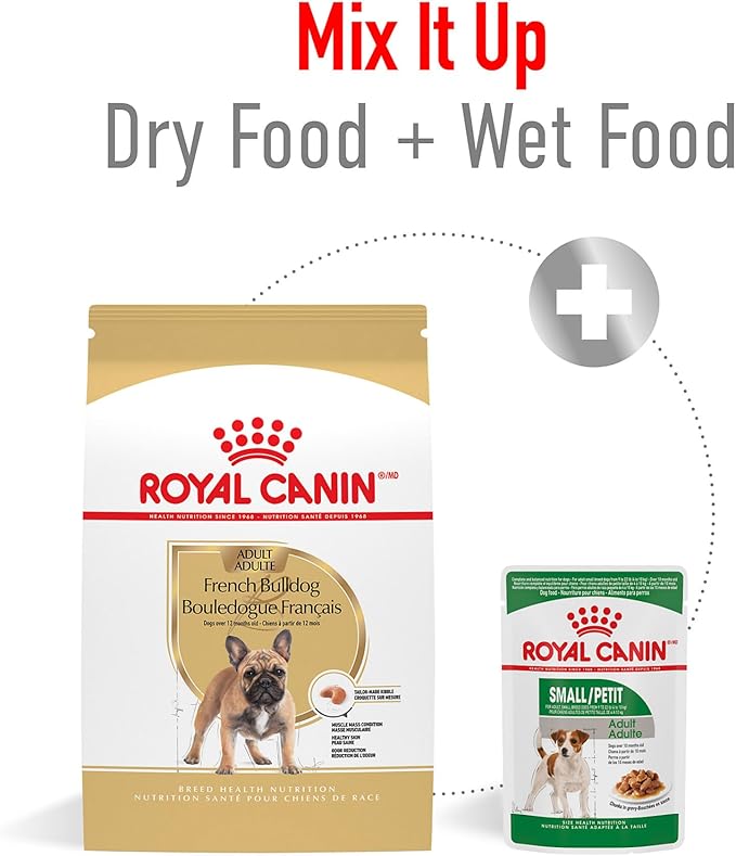 Royal Canin Breed Health Nutrition French Bulldog Adult Dry Dog Food, 6 lb Bag