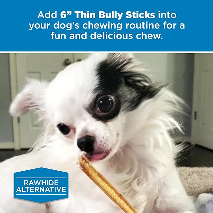 Best Bully Sticks 6 Inch Thin Bully Sticks - 24 Count (Pack of 1) - Natural, Easily Digestible, 100% Grass-Fed, Grain and Rawhide Free