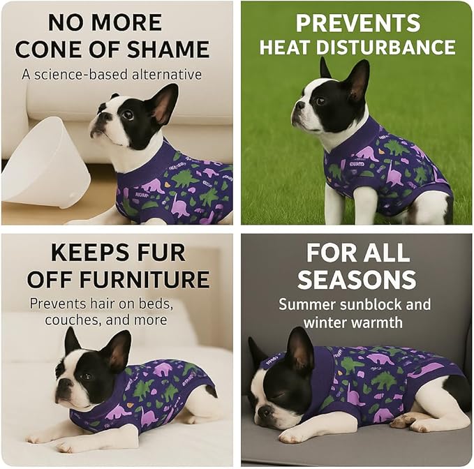 PetWarm Dog Surgery Suit, Onesies for Dogs, Dog Cone Alternative After Surgery Substitute E-Collar and Cone Prevent Licking Dog Onesies Pet Surgery Recovery Suit, Dinosaur Pattern, Blue Purple, M