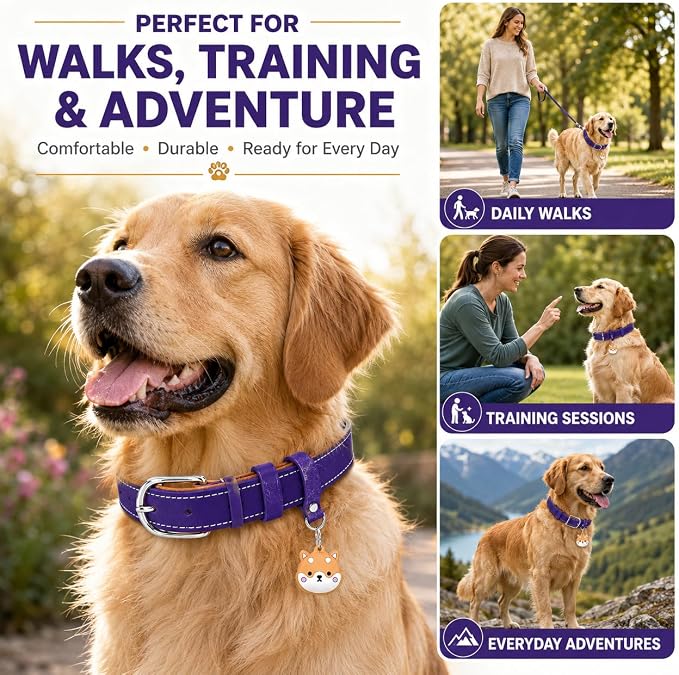 Genuine Leather Dog Collar, Soft Padded Leather Dog Collars with Airtag Holder Case for Small Medium Large X-Large Dogs,Comfort Heavy Duty Pet Collar with Durable Metal Buckle & D-Ring-Dark Purple/XL