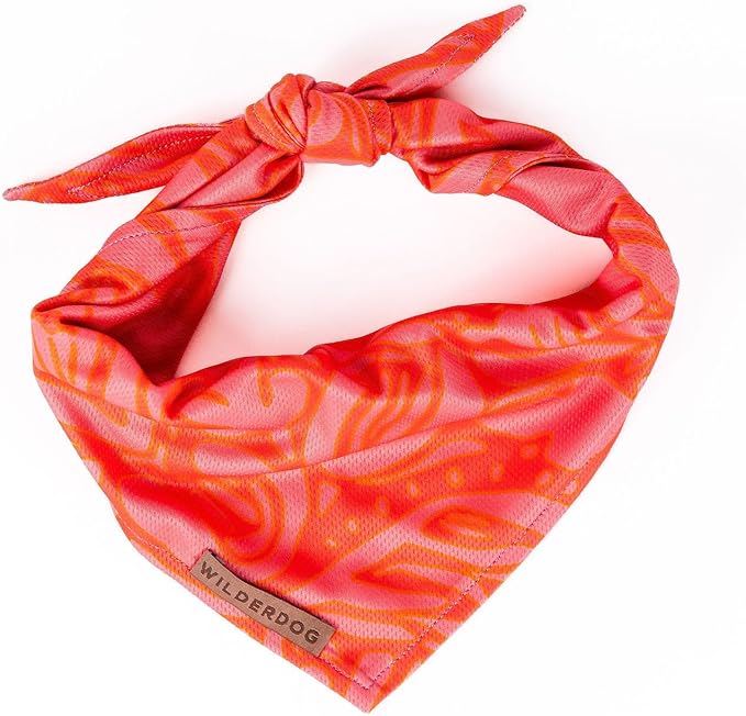 Wilderdog Dog Bandana with Lightweight Quick Drying Poly-Blend Mesh Material in Papaya
