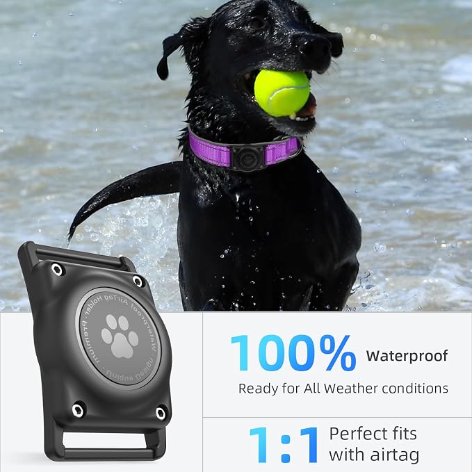 Upgrade Dog Collar with AirTag Holder, IP68 Waterproof, Grape Purple, M | Built-in Water Resistant AirTag holder, 1000D Nylon, Reflective Stitching for Night Visibility, Soft padding for Comfort