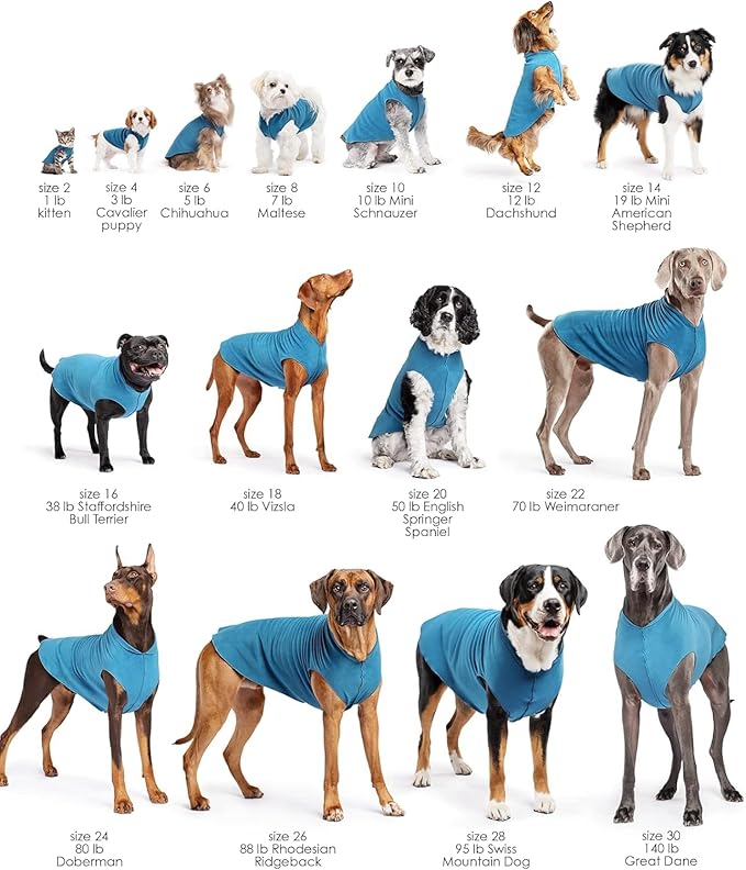 Goldpaw Stretchy Fleece Jacket for Small Dogs - Super Soft, Warm Dog Sweater - Pet Sweater Vest for Fall and Winter - Canine Clothes Made in The USA - Machine Washable - Turquoise - Size 14
